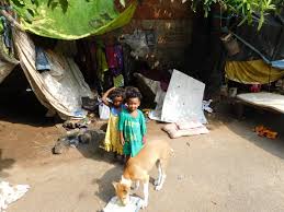 Child helping a dog